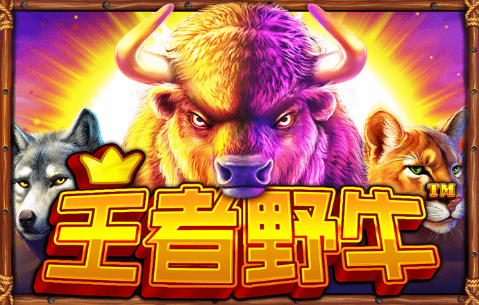 亚星手机版登录亚星官网